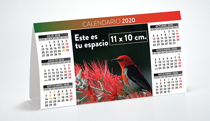 calendario-semestral-2-2020