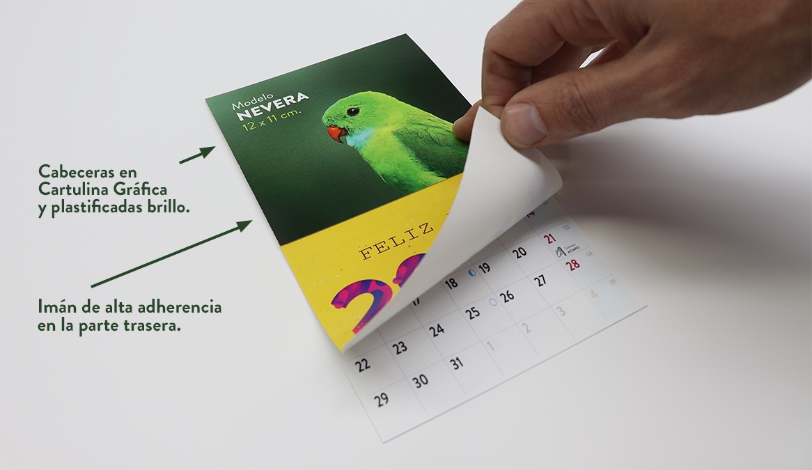 Un calendario con imán para tu cocina de un tamaño perfecto para la nevera.