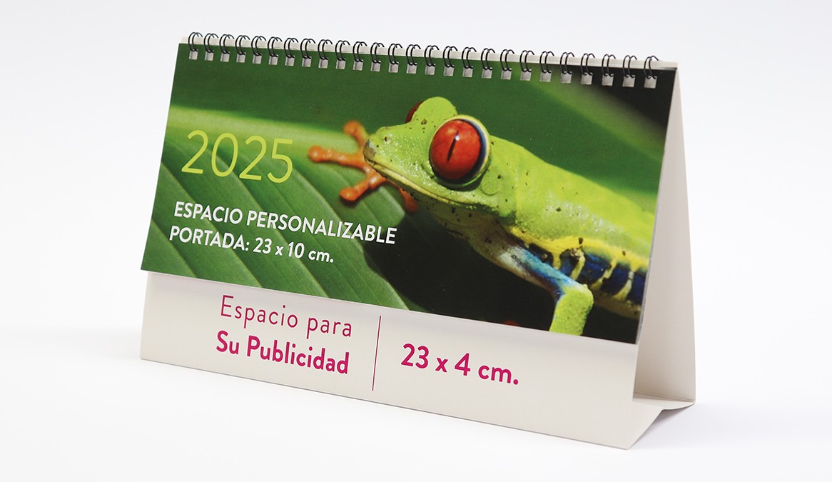 Calendario S portada