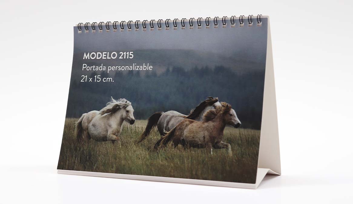 Calendario personalizado con anillas con imagen portada